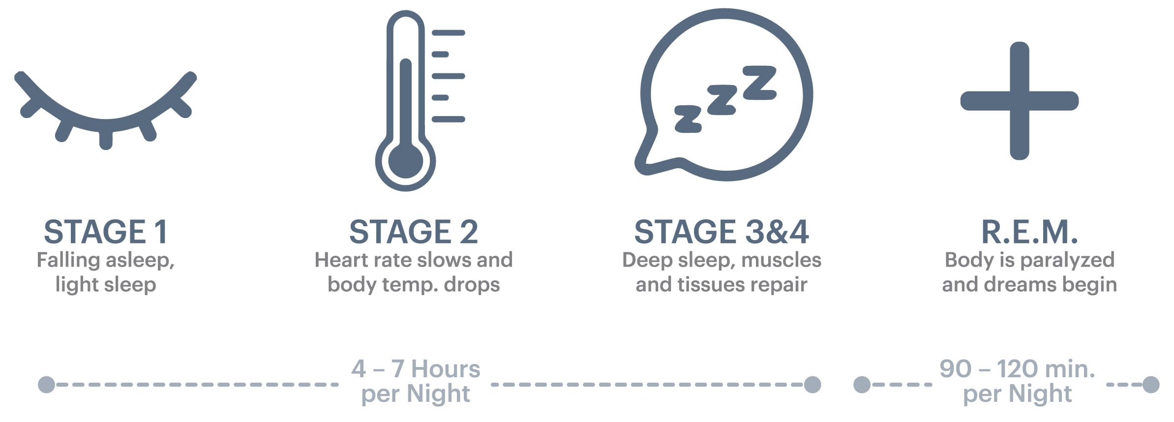 Sleep Cycles Graphic