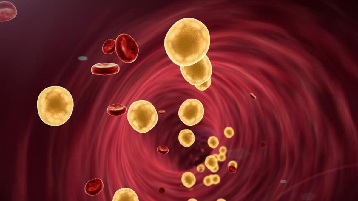 artist rendering of inside of a blood with fat cells floating